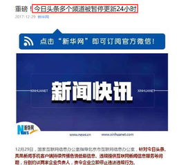 監管重拳與品牌價值觀 從今日頭條處罰看投資者的深刻啟示