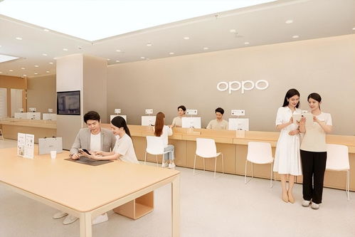 電商大促回歸用戶體驗 高服務(wù)質(zhì)量品牌商家迎來黃金時代